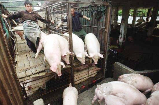 農業農村部：關于加強畜禽移動監管有關事項的公告