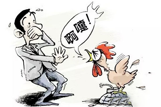 禽流感有啥危害？該如何對禽流感進行防控？