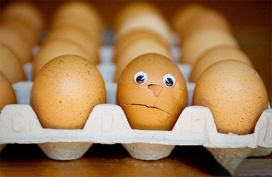 雞蛋殼變薄易碎的應對措施