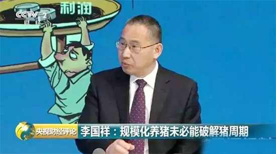 生豬價格創8年新低!資本瘋狂湧入和規模化擴張是主因!