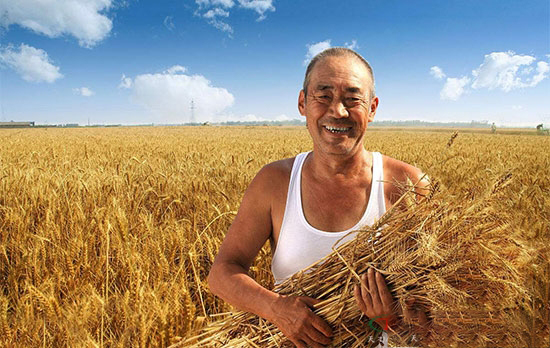 2018年财政重點強農惠農政策