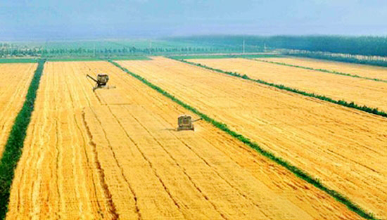 全國範圍内農村開始推行農業“三項補貼”改革