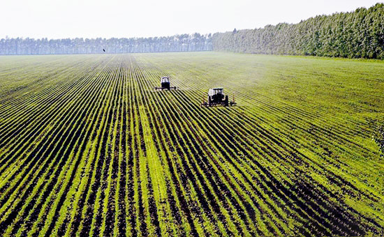 這類農業一個項目中央補助最低1800萬元
