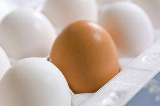 觀察雞蛋就知雞病情