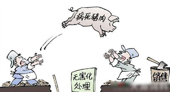 生産銷售禁藥、販賣病死豬等行為被入刑