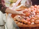 氣溫高産量少雞蛋需求增加,蛋價易漲難跌,局部最高4.9元/斤!