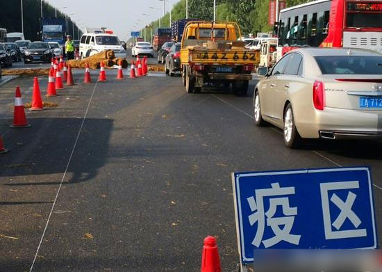 遼甯通報非洲豬瘟疫情:已經撲殺8116頭生豬