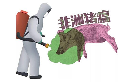 農業農村部：正調查三起疫情是否存在聯系