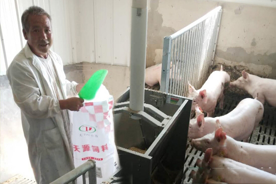 山東天源與山東省種豬性能測定站成為戰略合作夥伴