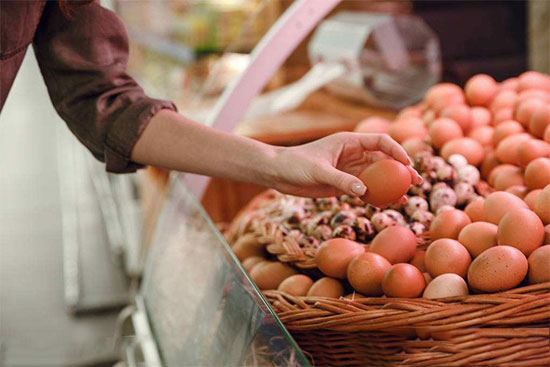 雞蛋價格一波三折 九月呈緩慢走低趨勢