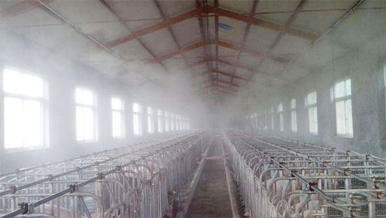 養豬場規範消毒和疫病發生時緊急消毒的不同處