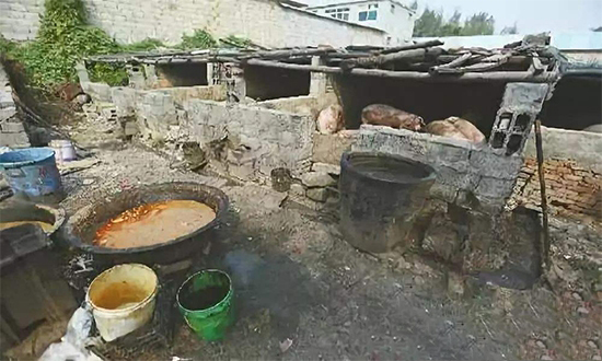 多省出台細則嚴查泔水養豬 最高罰3萬！