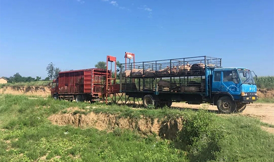 運豬車要如何備案?農業農村部這麼回答