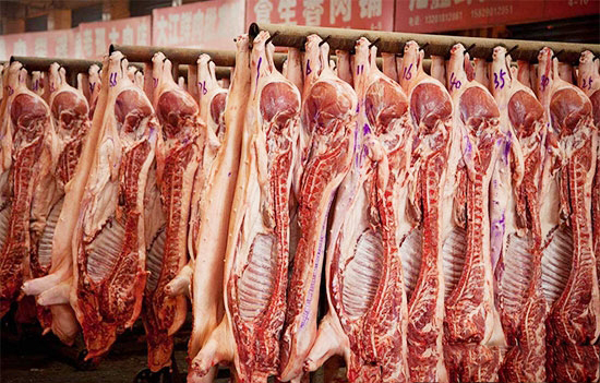 豬瘟百日爆發67起!說好的生豬調運受阻,總量卻暴增24.11%