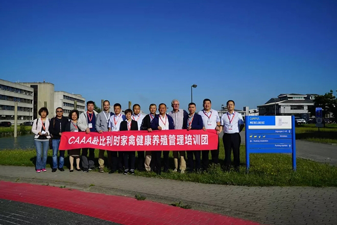 天源技術團隊赴比利時參加家禽健康養殖培訓