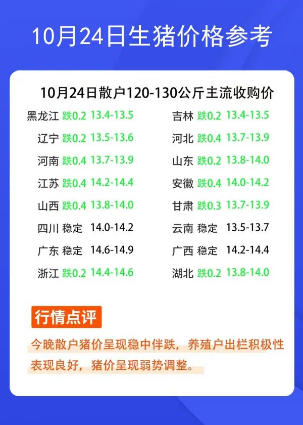 10月24日生豬價格參考