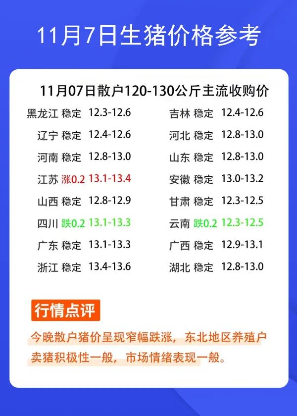 11月7日生豬價格參考