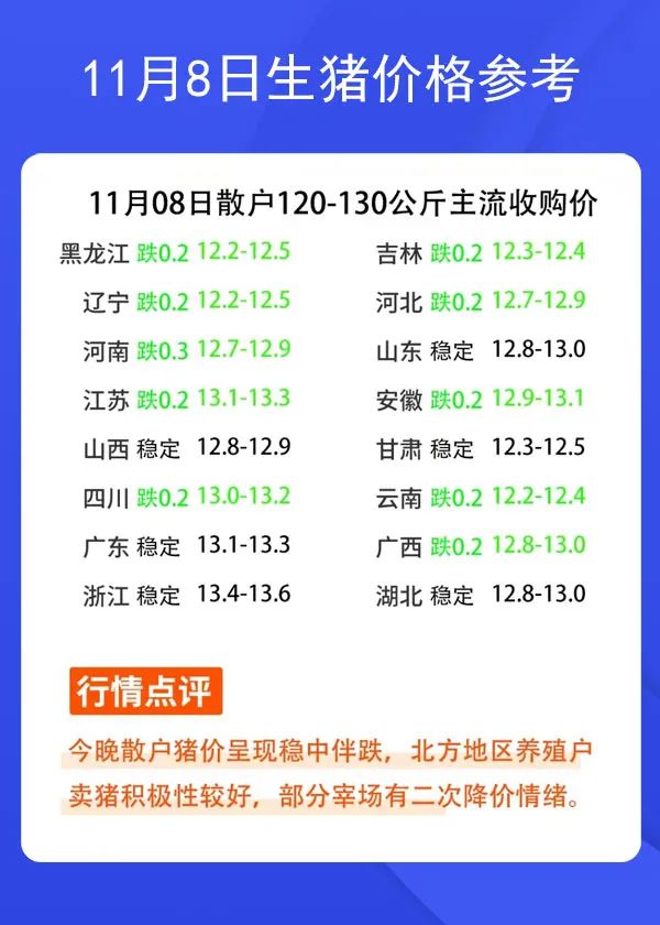 11月8日生豬價格參考