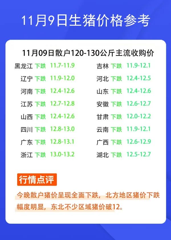 11月9日生豬價格參考