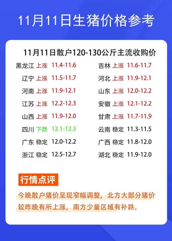 11月11日生豬價格參考