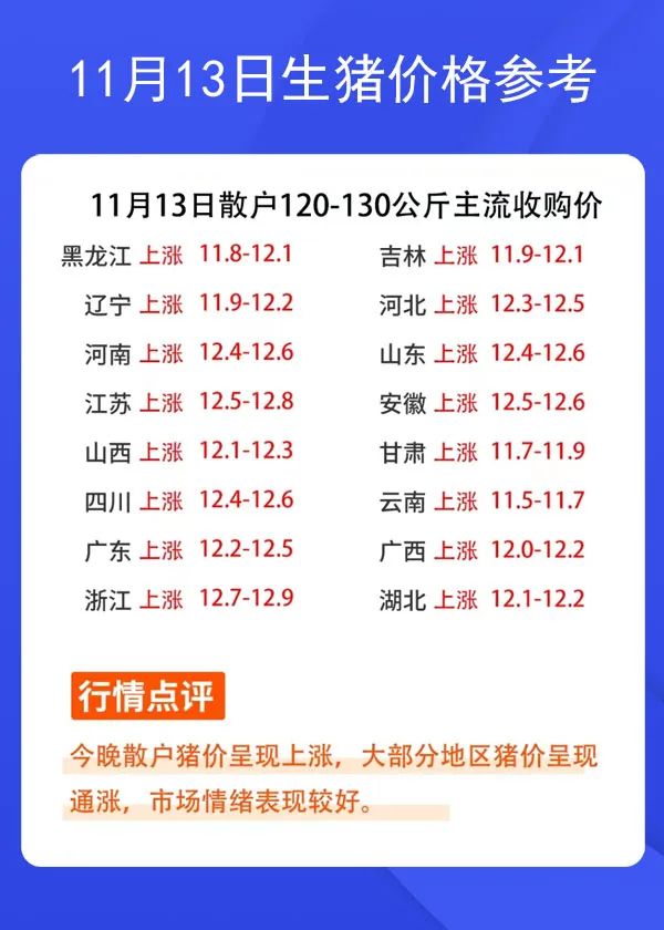 11月13日生豬價格參考