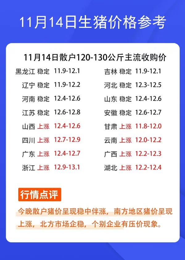 11月14日生豬價格參考