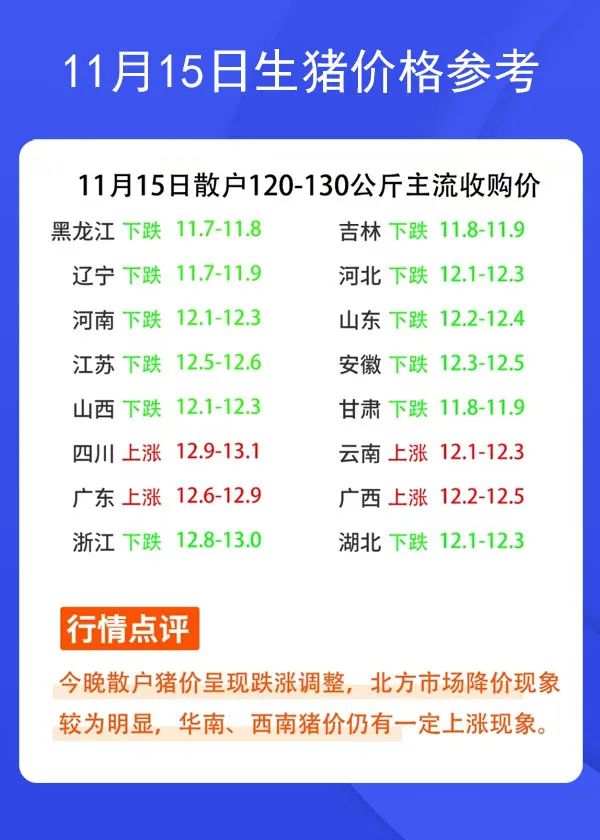 11月15日生豬價格參考