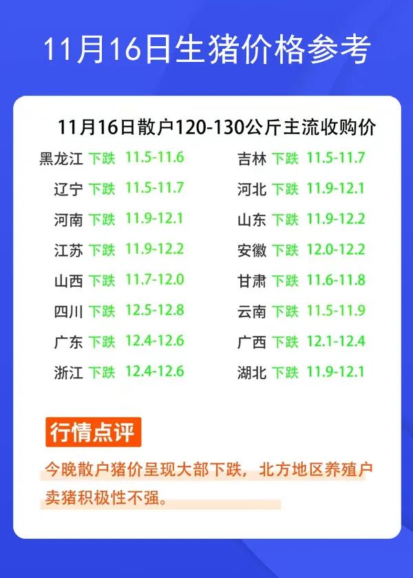 11月16日生豬價格參考