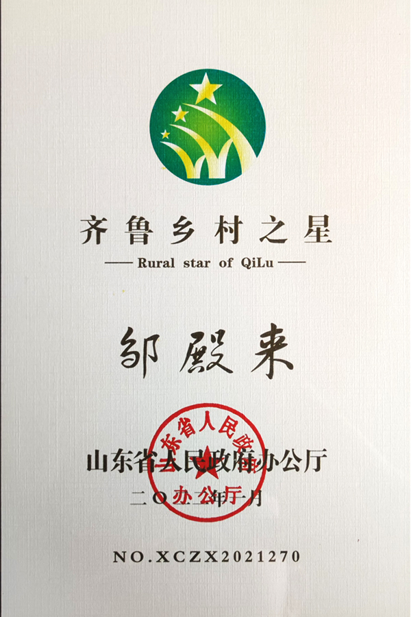 鄒殿來齊魯鄉村之星