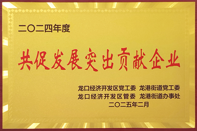 共促進發展突出貢獻企業